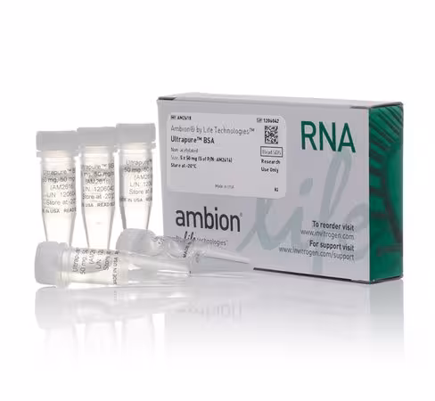 Ultrapure bsa (50 µg/ml)-5 x 50 µg 5x50 mg