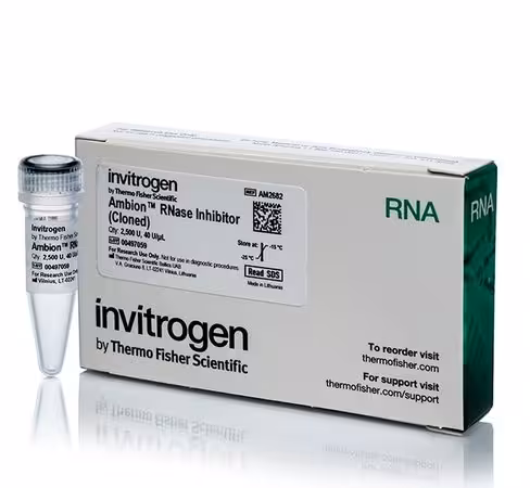 Ambion rnase inhibitor, cloned, 40 u/ul-2,500 units 2500 unités