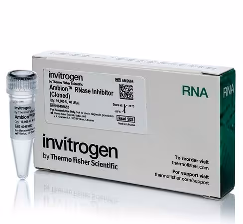 Ambion rnase inhibitor, cloned, 40 u/ul-10,000 units 10000 unités