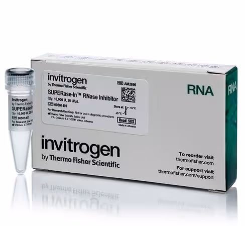 Superase-in rnase inhibitor (20 u/ul)-10,000 units 10000 unités