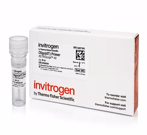 Oligo (dt) primer (50 um)-80 µL