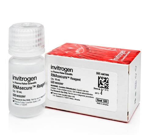 Rnasecure rnase inactivation reagent-10 ml