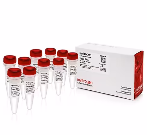 Yeast rna (10 µg/ml)-10 tubes