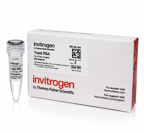 Yeast rna (5 µg/ml)-1 tube 1 tubes