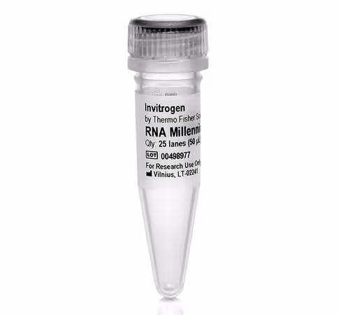 Millennium rna markers-50 µL