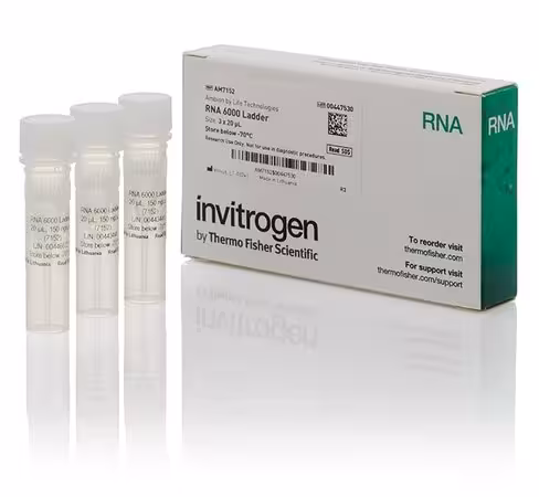 Rna 6000 ladder-3 tubes