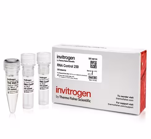 Rna control 250- 2x20 µL