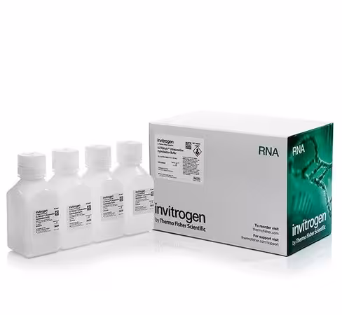 Ultrahyb ultrasensitive hybridization buffer-4 x 125 ml