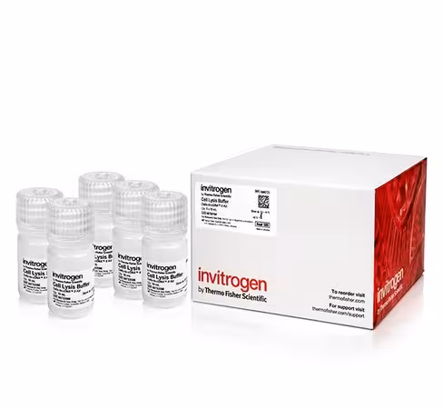 Cells-to-cdna ii cell lysis buffer 10 ml 5 bouteilles