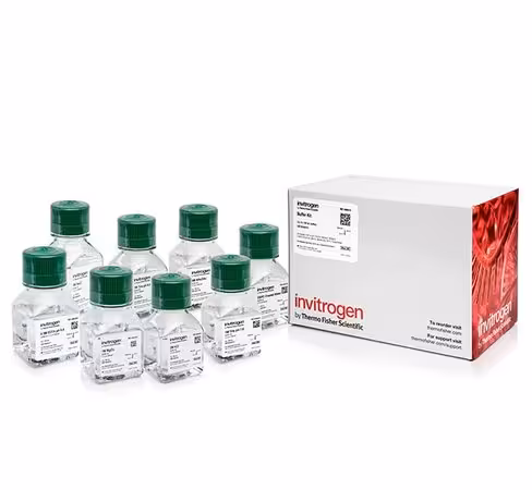 Buffer kit, rnase-free-1 set 1 kit