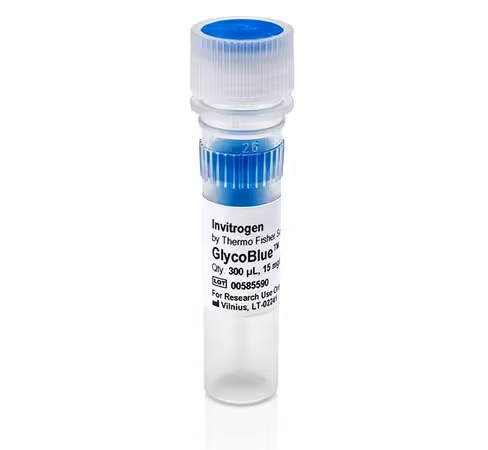 Glycoblue coprecipitant (15 µg/ml)-300 µL