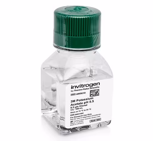 Potassium acetate (3 m), ph 5.5, rnase-free-100 ml