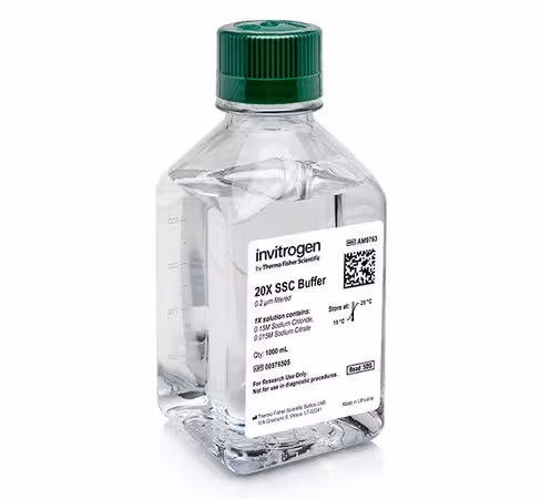 Ssc (20x), rnase-free-1 l