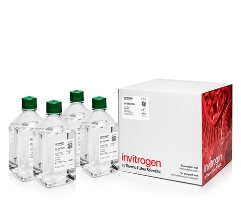 Ssc (20x), rnase-free-4 x 1 l