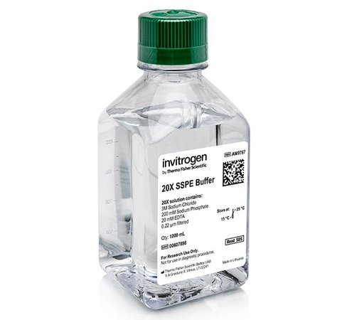 Sspe (20x), rnase-free-1 l
