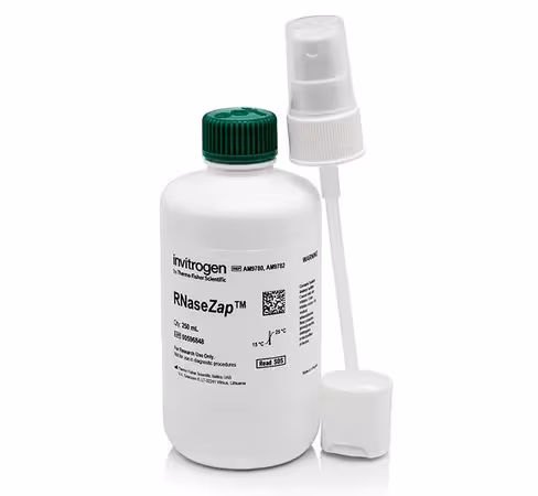 Rnasezap rnase decontamination solution-250 ml