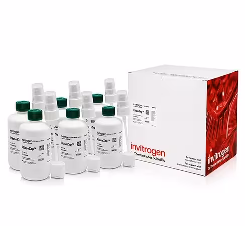 Rnasezap rnase decontamination solution-6 x 250 ml