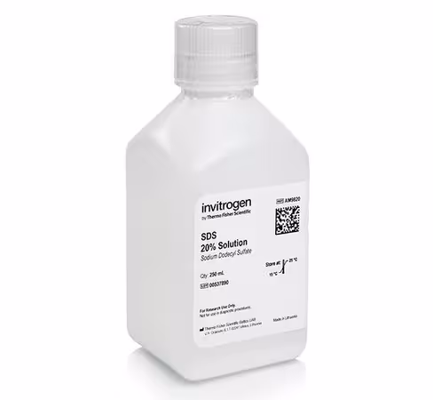 Sds, 20% solution, rnase-free-250 ml