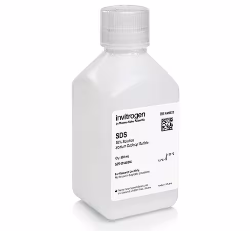 Sds, 10% solution, rnase-free-500 ml