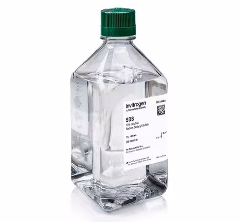 Sds, 10% solution, rnase-free-1 l