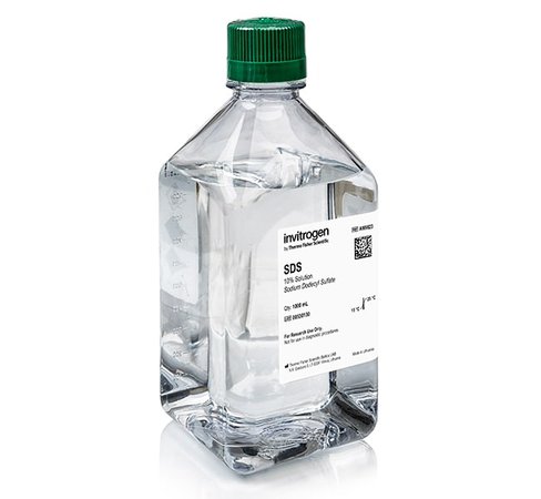 Sds, 10% solution, rnase-free-1 l