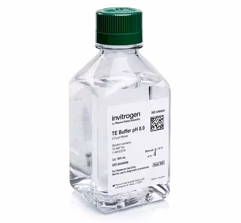Te, ph 8.0, rnase-free-500 ml