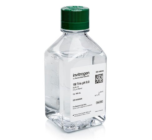 Tris (1 m), ph 8.0, rnase-free-500 ml