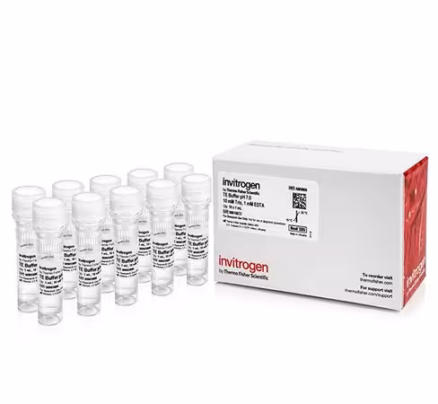 Te, ph 7.0, rnase-free-10 x 1 ml