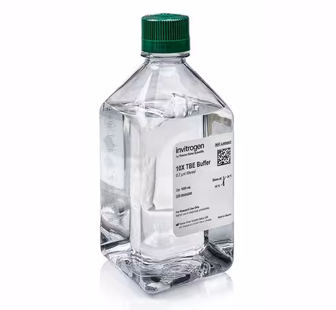 Tbe (10x), rnase-free-1 l