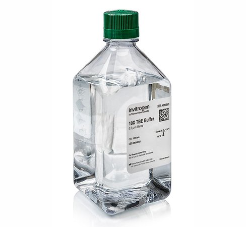 Tbe (10x), rnase-free-1 l