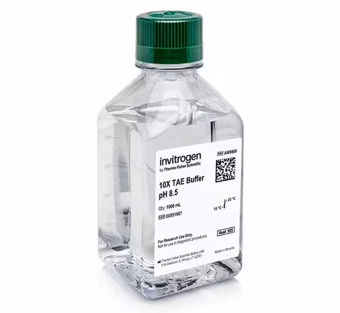 Tae (10x), rnase-free-1 l