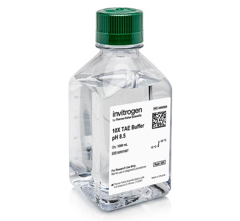 Tae (10x), rnase-free-1 l