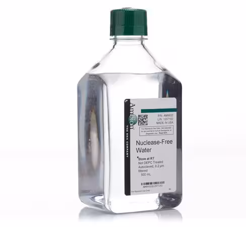 Nuclease-free water (not depc-treated)-1 x 500 ml