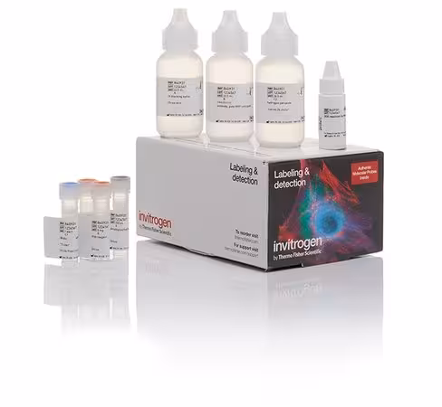Biotin xx tyramide superboost kit, streptavidin 150 tests
