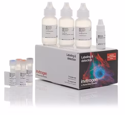 Alexa fluor 488 tyramide superboost kit, streptavidin 1 réactions