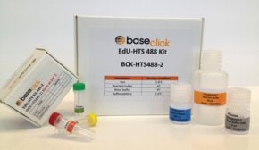 EdU HTS Kit 555 sufficient for 200 assays, 1 each