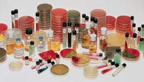 Middlebrook 7h10 agar 20 pièces