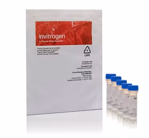 Cellrox deep red reagent, for oxidative stress detection-5 x 50 µL