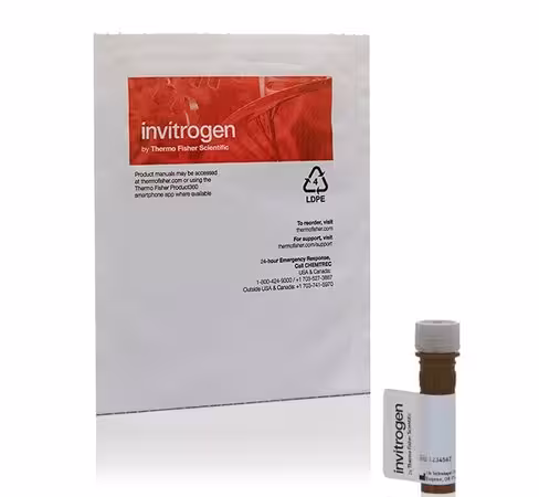 Enzchek cellulase substrate, blue fluorescent, 339/452-1 µg 1 mg