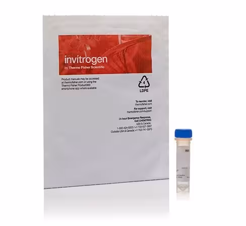 Cellmask deep red µLasma membrane stain-100 µL