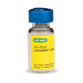 Untreated HeLa Lysate 1 pcs