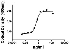 Recombinant Human BMP-9 (carrier-free) 25 µg