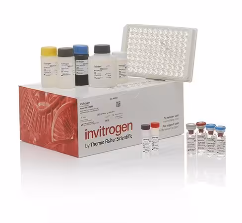 Complement c5a human elisa kit-10 x 96 tests