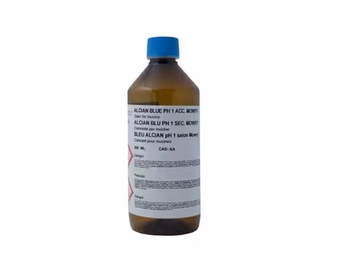 Bleu Alcian selon Mowry pH 1,0 0,5 l x 1