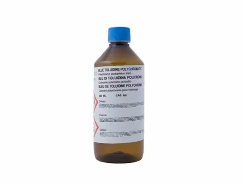 Bleu de toluidine Polychrome selon Tombison-Grocott 0,5 l x 2