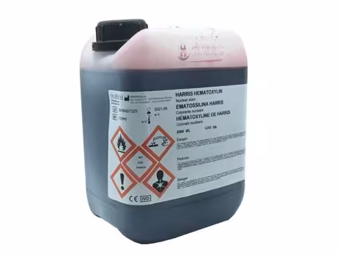 Hématoxyline de Harris DIAPATH 2,5 l x 2