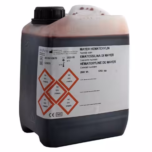 Hématoxyline selon Mayer DIAPATH 2,5 l x 2
