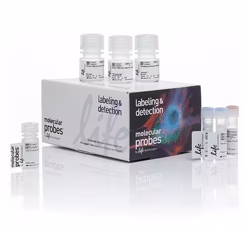 Click-it edu cell proliferation kit for imaging, alexa fluor 488 dye-1 kit