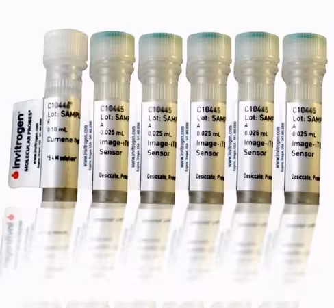 Image-it lipid peroxidation kit, for live cell analysis-1 kit
