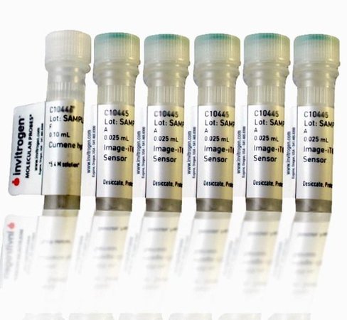 Image-it lipid peroxidation kit, for live cell analysis-1 kit
